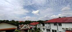 Leedon Park (D10), Detached #608499771